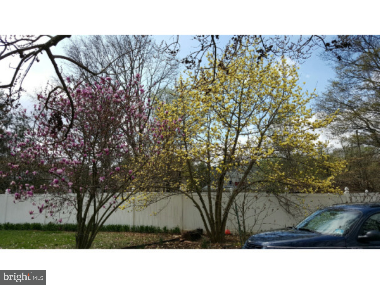 8 Federal City Road Ewing, NJ 08638 - Photo 8 of 25 Side Yard