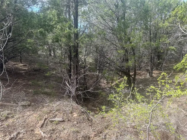 $33,000 | 1241 Balcones Lane, Graford, TX 76449