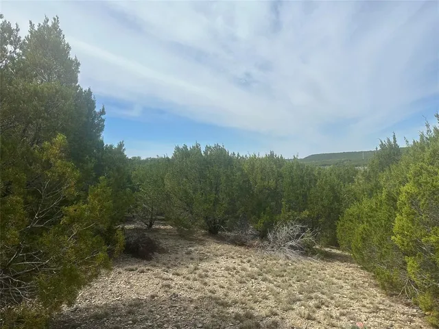 $33,000 | 1241 Balcones Lane, Graford, TX 76449