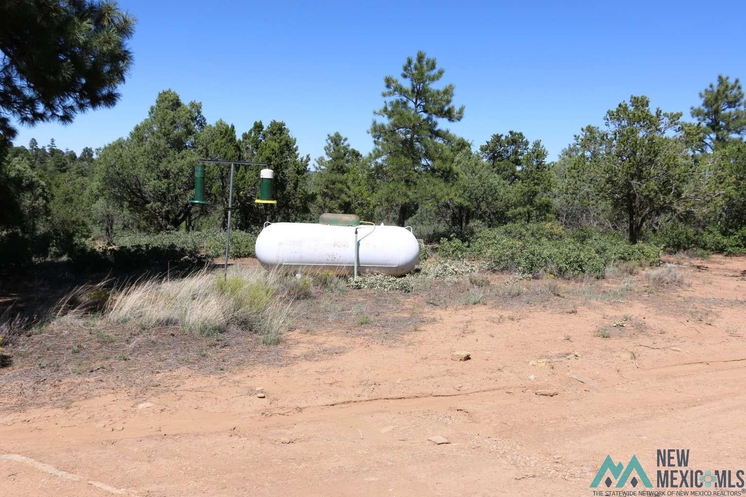 32 Dan Gatlin Road Pie Town, NM 87827 - Photo 29 of 43 Gallery Image 29
