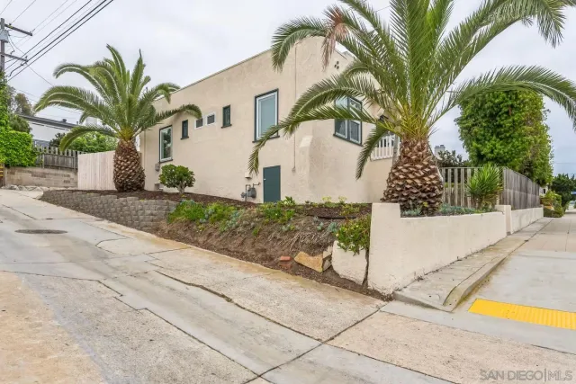 a view of a white house with a large tree and plants