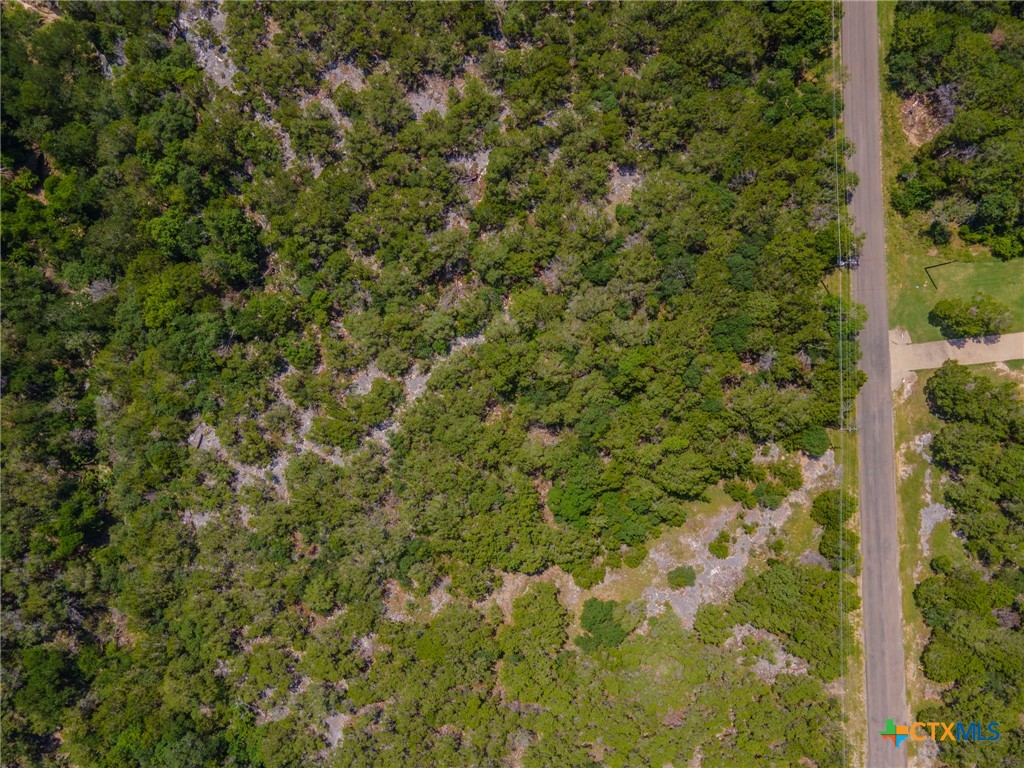 15963 Brazos Drive Temple, TX 76502 - Photo 4 of 9 a view of a lush green forest
