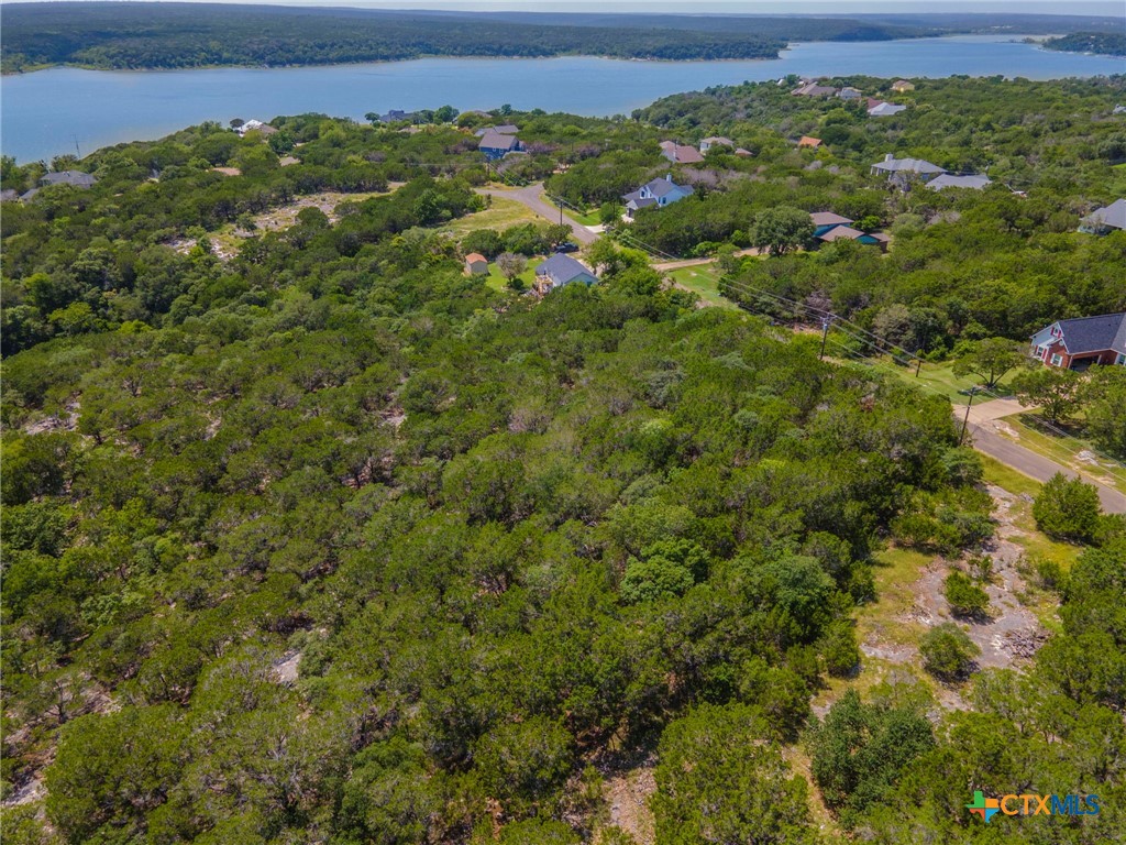 15963 Brazos Drive Temple, TX 76502 - Photo 5 of 9 a view of a green field with lots of bushes