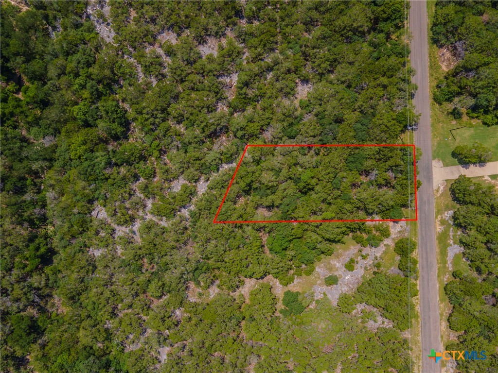 15963 Brazos Drive Temple, TX 76502 - Photo 6 of 9 a view of a lush green forest