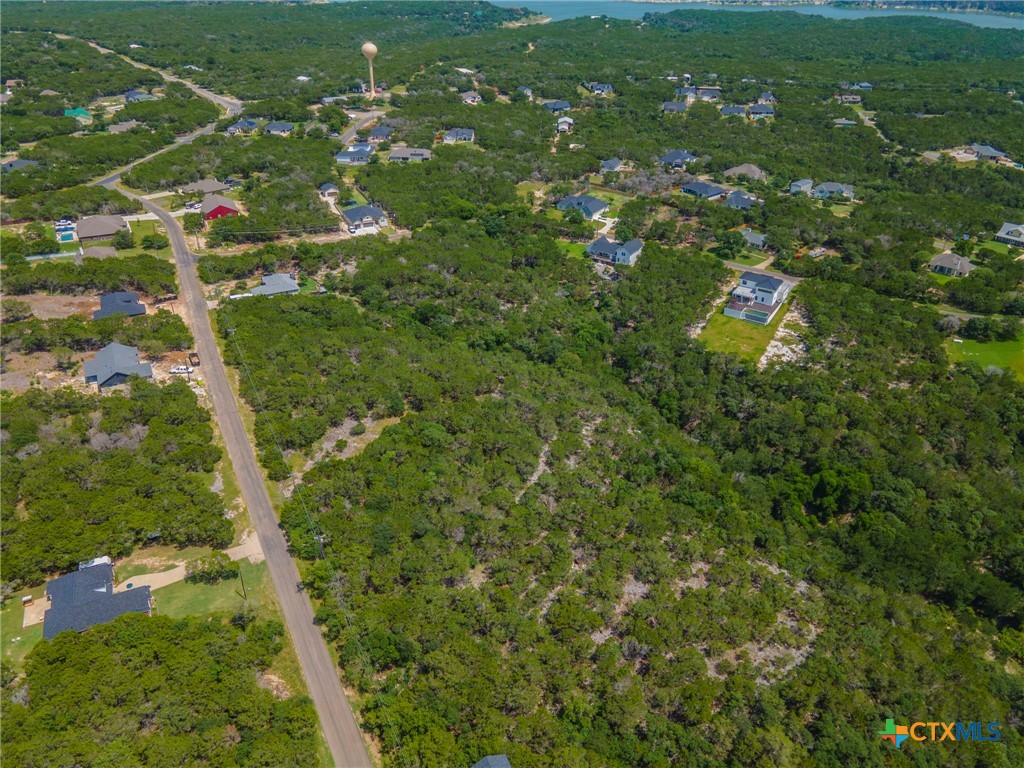 15963 Brazos Drive Temple, TX 76502 - Photo 7 of 9 a view of a lush green field with plants