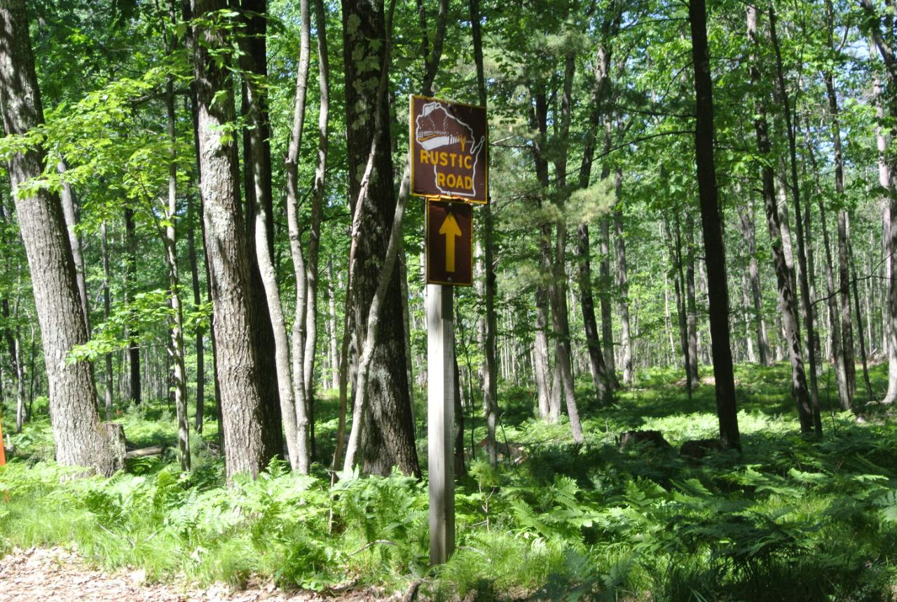 Lot 4 Sutton Road Minocqua, WI 54548 - Photo 3 of 10 Gallery Image 3