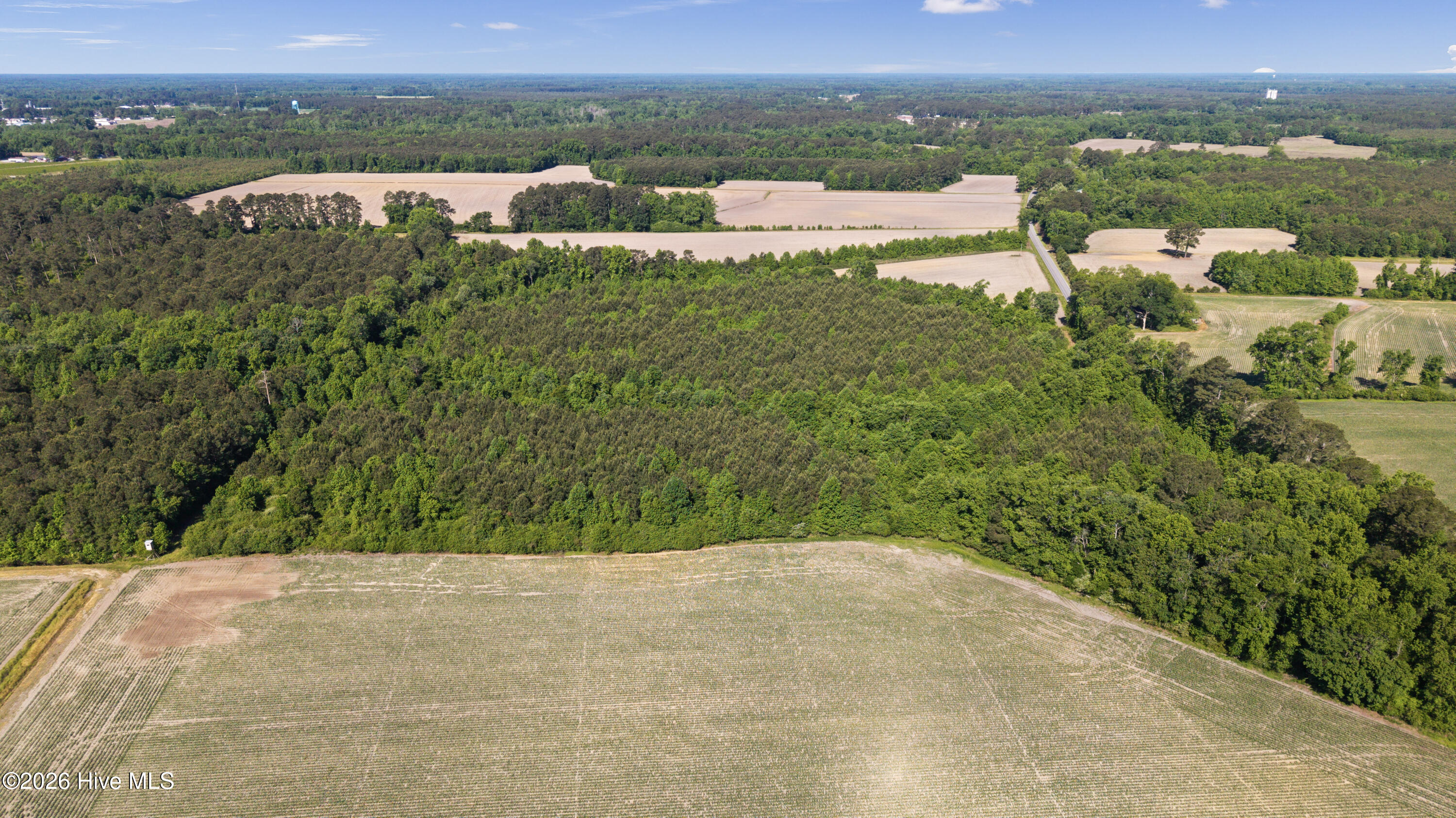 26-acres High School Road Teachey, NC 28464 - Photo 7 of 23 11-DJI_20260428094219_0074_D