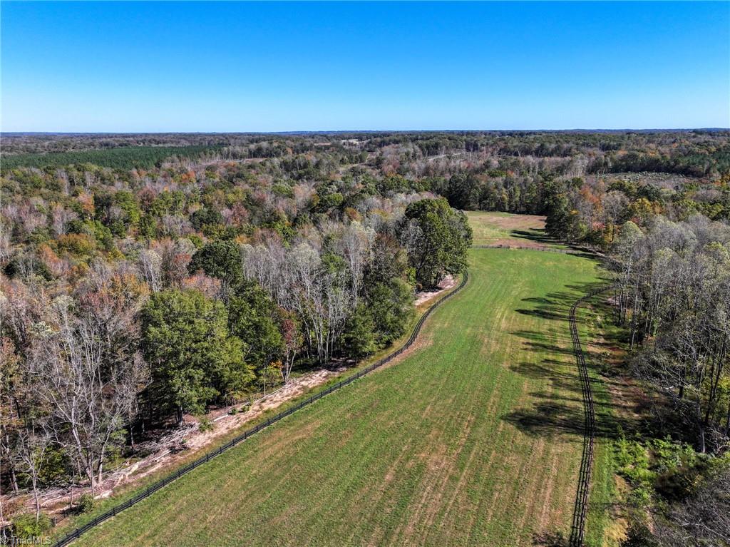 979 Perkinson Road Ruffin, NC 27326 - Photo 18 of 46