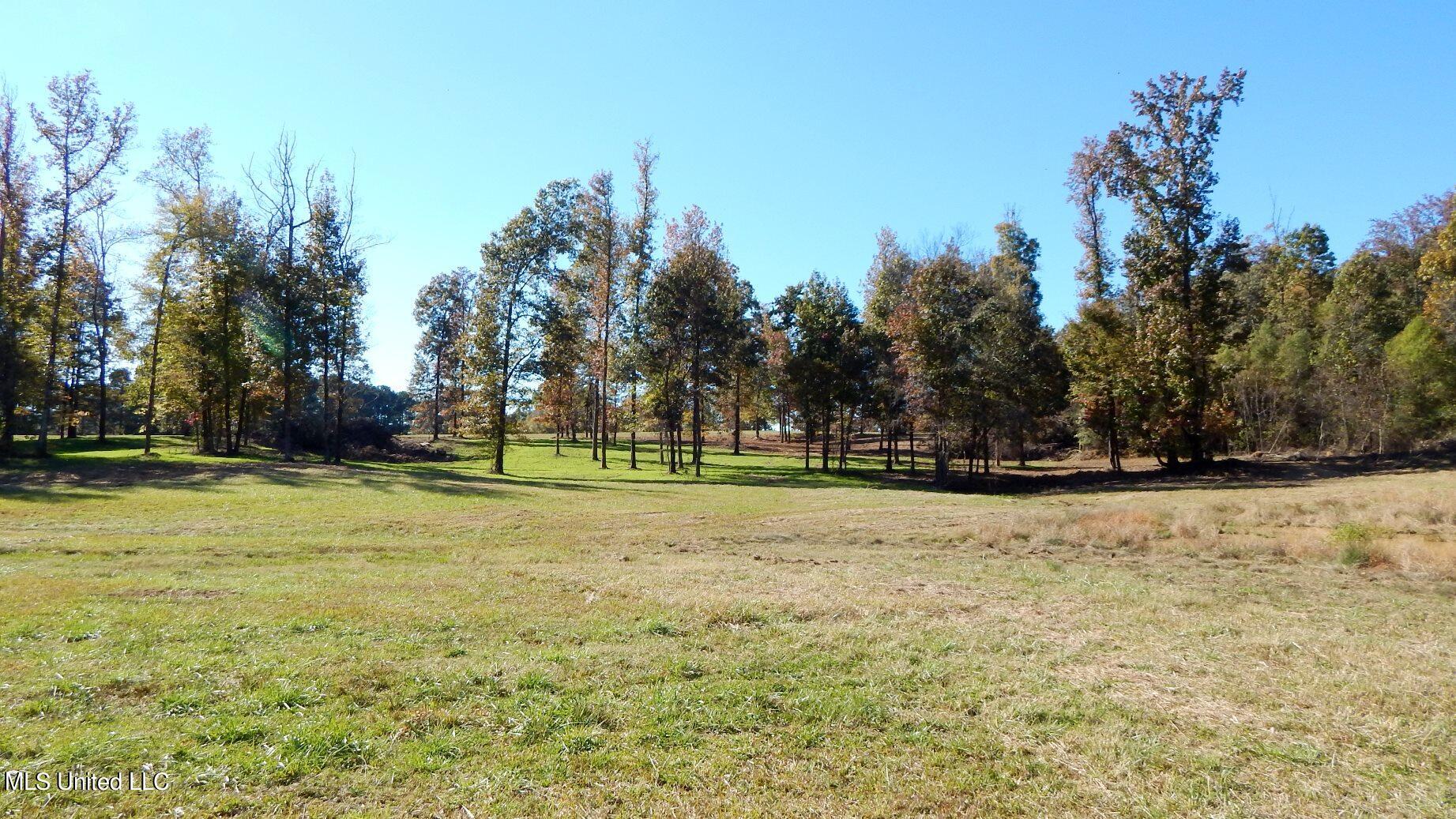 400 Arkabutla Dam Road Coldwater, MS 38618 - Photo 25 of 33 1a Arkabutla Dam Rd 017