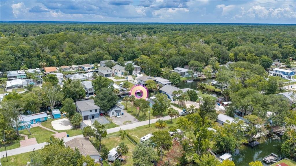 7250 Coventry Court Spring Hill, FL 34607 - Photo 8 of 13