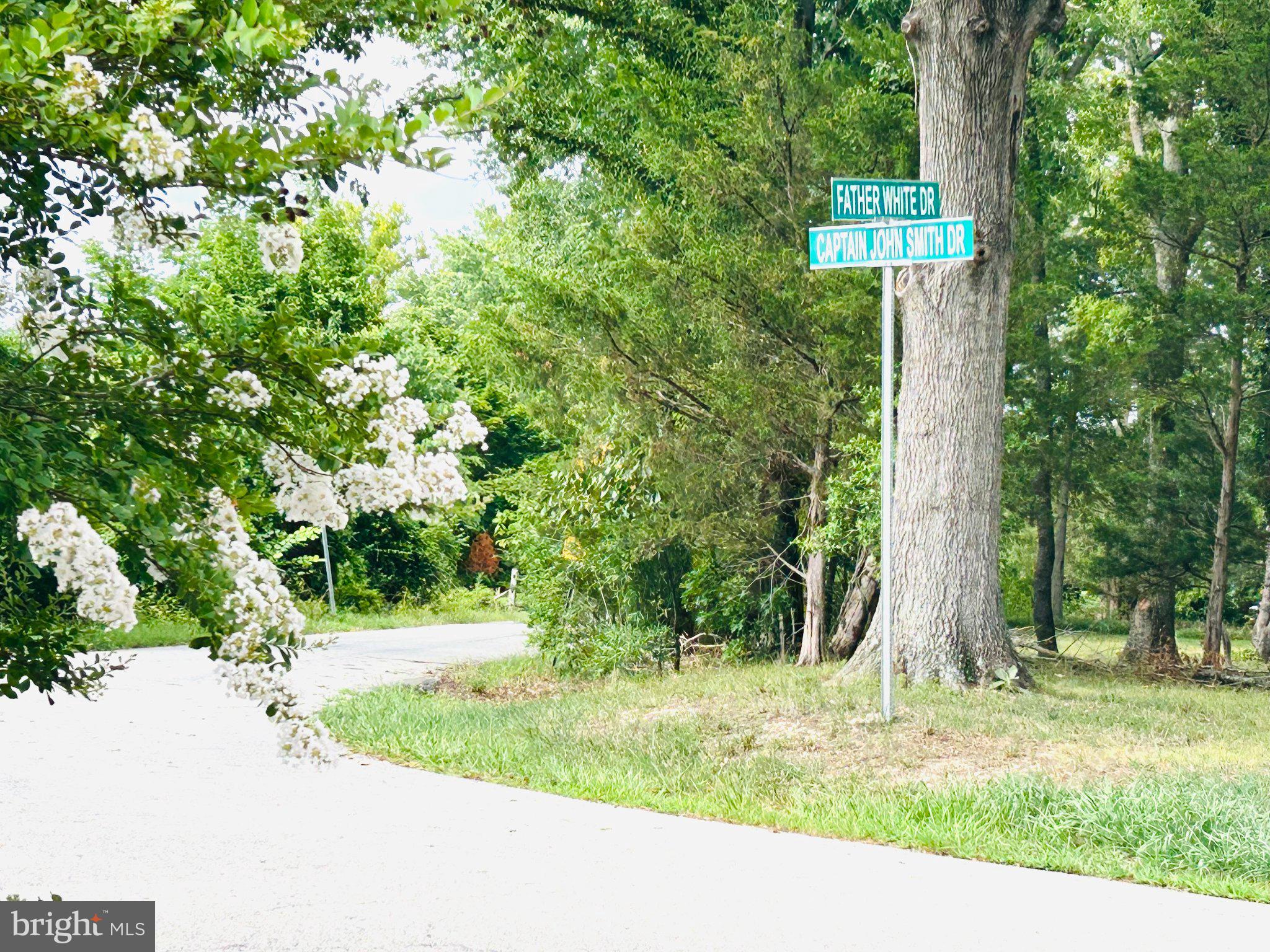 14500 Leonard Calvert Drive Accokeek, MD 20607 - Photo 16 of 18 Charming intersection of nature and road.