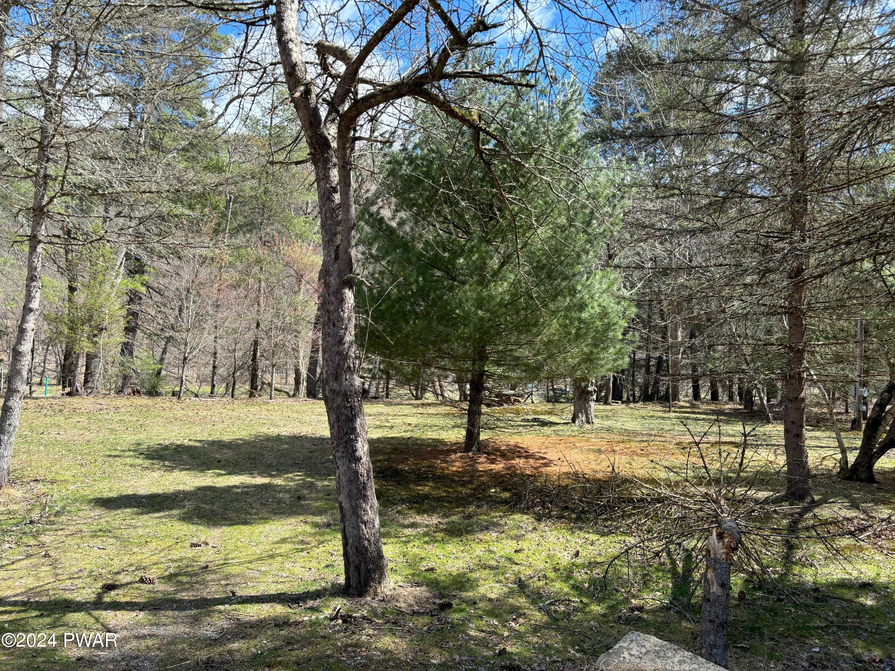 Rocky Rift Farm Road Lackawaxen, PA 18435 - Photo 4 of 10