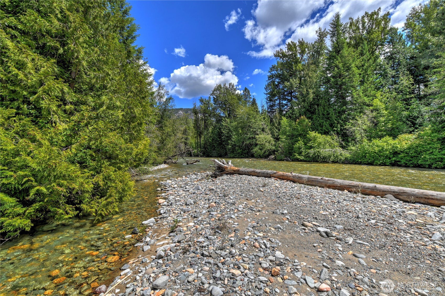 19 2 Rivers Road Mazama, WA 98833 - Photo 16 of 40 a view of a yard with plants and trees