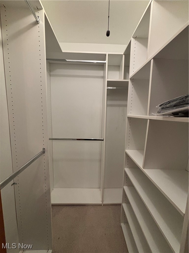10708 Sherman Road Chardon, OH 44024 - Photo 10 of 31 Master Walk-In Closet