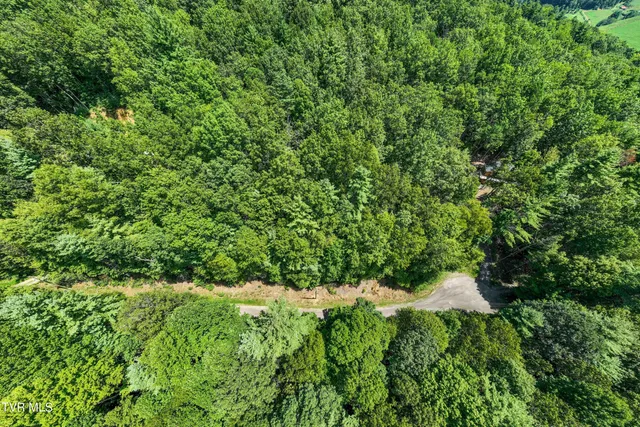 $57,000 | Lot 4 Valley View Drive, Unit 4, Mountain City, TN 37683