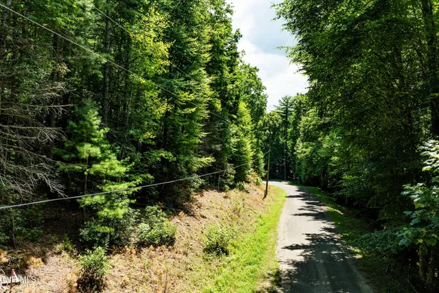 $57,000 | Lot 4 Valley View Drive, Unit 4, Mountain City, TN 37683