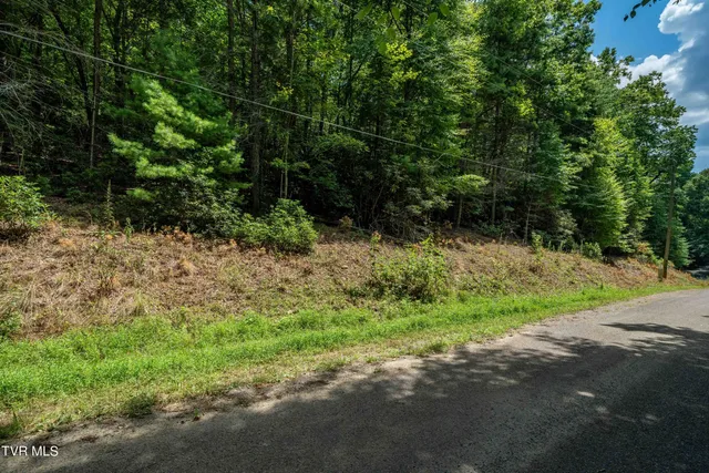 $57,000 | Lot 4 Valley View Drive, Unit 4, Mountain City, TN 37683