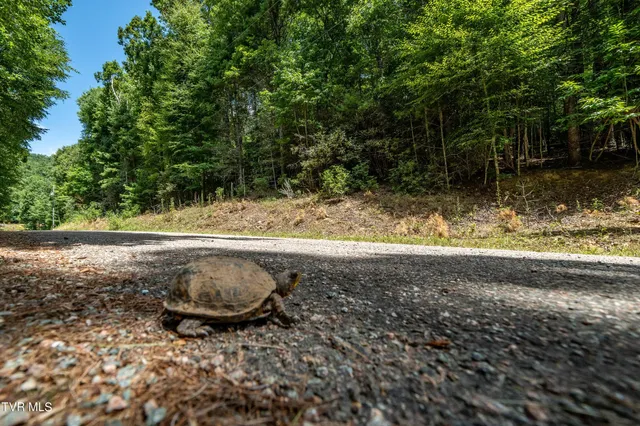 $57,000 | Lot 4 Valley View Drive, Unit 4, Mountain City, TN 37683