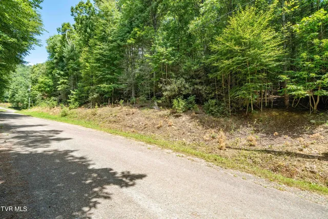 $57,000 | Lot 4 Valley View Drive, Unit 4, Mountain City, TN 37683