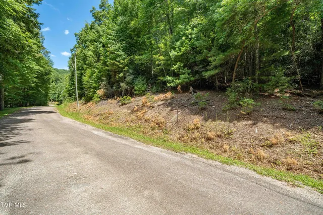 $57,000 | Lot 4 Valley View Drive, Unit 4, Mountain City, TN 37683