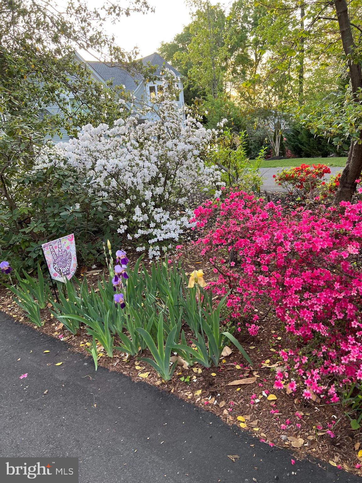 314 Birchside Circle Locust Grove, VA 22508 - Photo 10 of 59 Azaleas greet you at the driveway