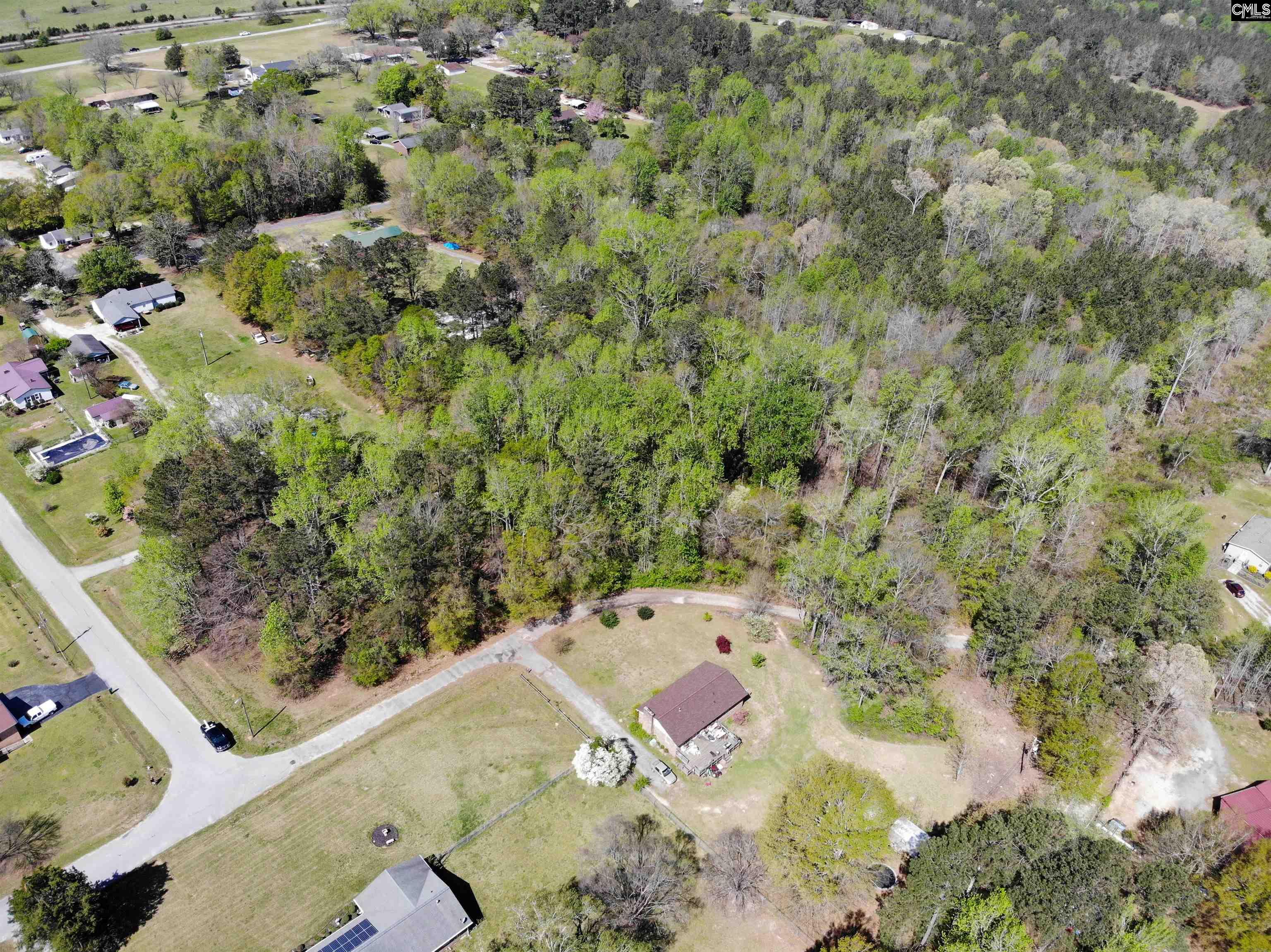 Tbd James Road Joanna, SC 29351 - Photo 12 of 82