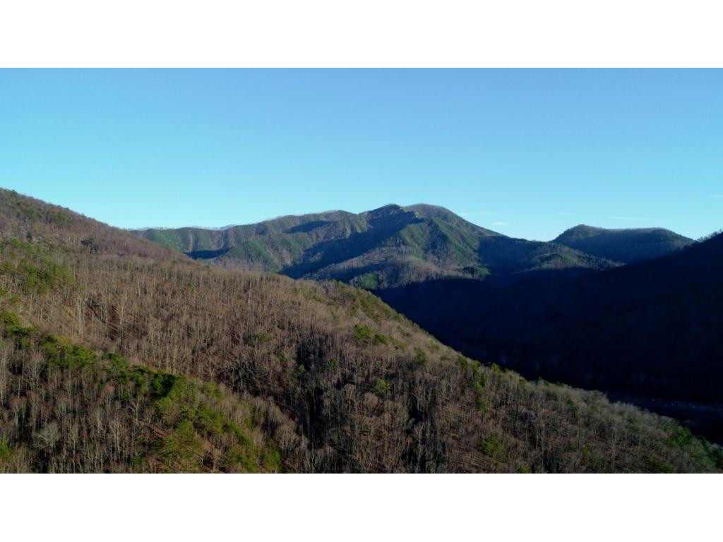 15.88-ac Curry Way Del Rio, TN 37727 - Photo 11 of 29 Photo 11
