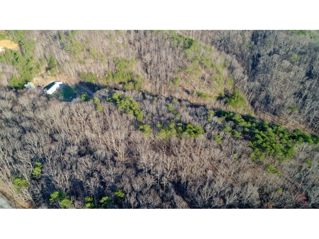 15.88-ac Curry Way Del Rio, TN 37727 - Photo 14 of 29 Photo 14