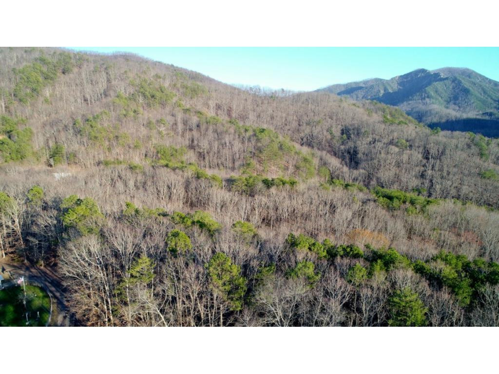 15.88-ac Curry Way Del Rio, TN 37727 - Photo 18 of 29 Photo 18