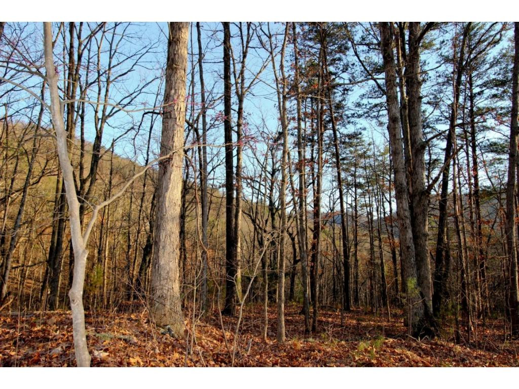 15.88-ac Curry Way Del Rio, TN 37727 - Photo 24 of 29 Photo 24