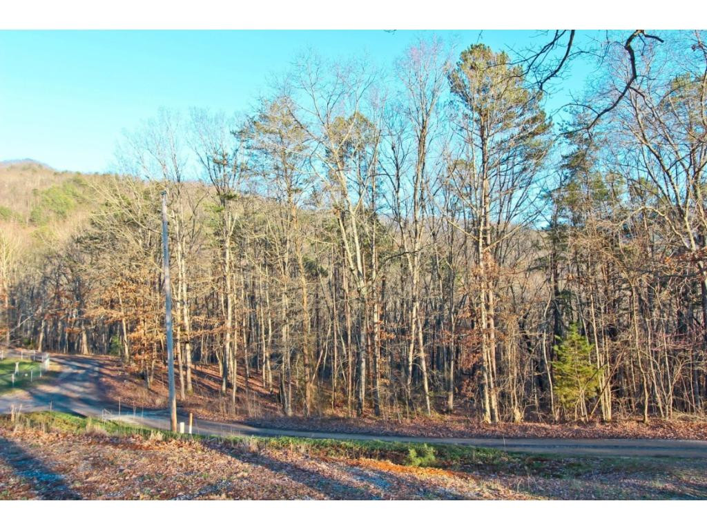 15.88-ac Curry Way Del Rio, TN 37727 - Photo 3 of 29 Photo 3