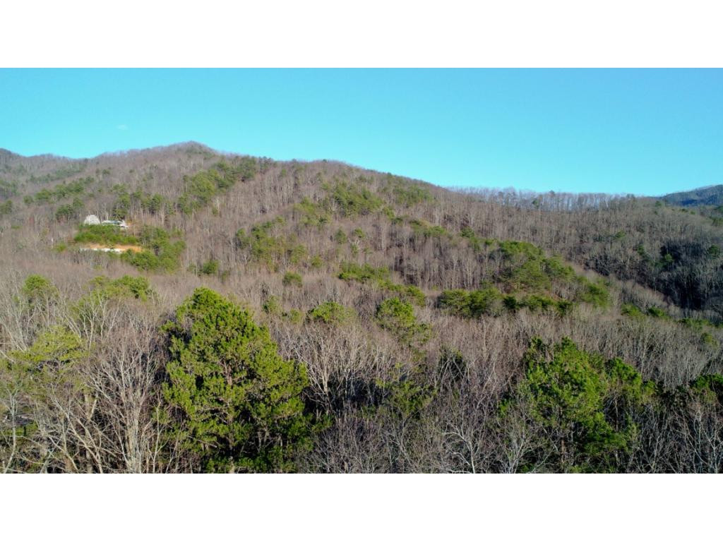 15.88-ac Curry Way Del Rio, TN 37727 - Photo 4 of 29 Photo 4