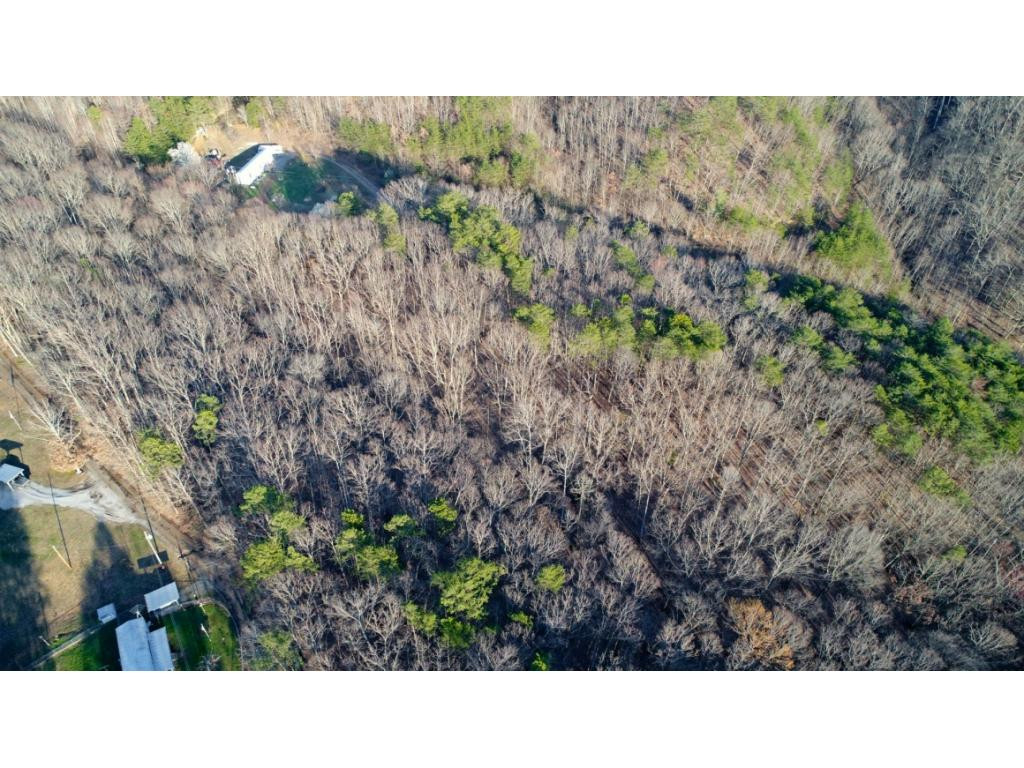 15.88-ac Curry Way Del Rio, TN 37727 - Photo 8 of 29 Photo 8