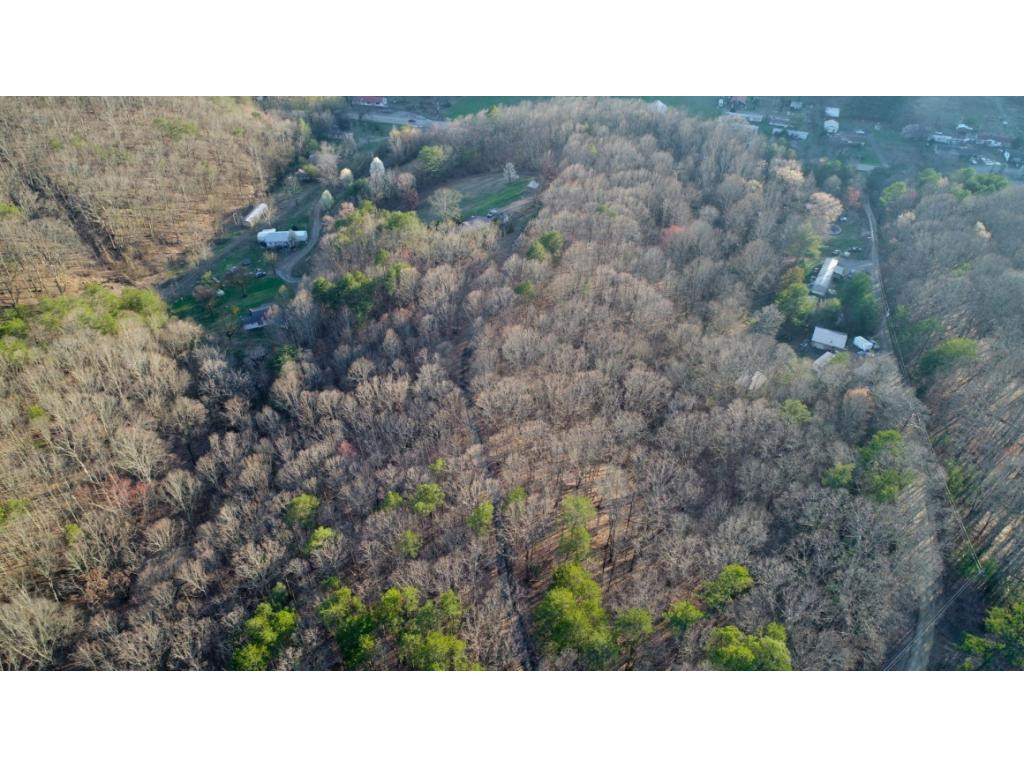 15.88-ac Curry Way Del Rio, TN 37727 - Photo 10 of 29 Photo 10