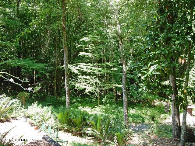12332 Field Bluff Road Jacksonville, FL 32223 - Photo 29 of 32 BACK YARD (2)