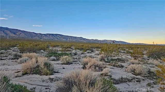 a view of a forest with mountains in the background