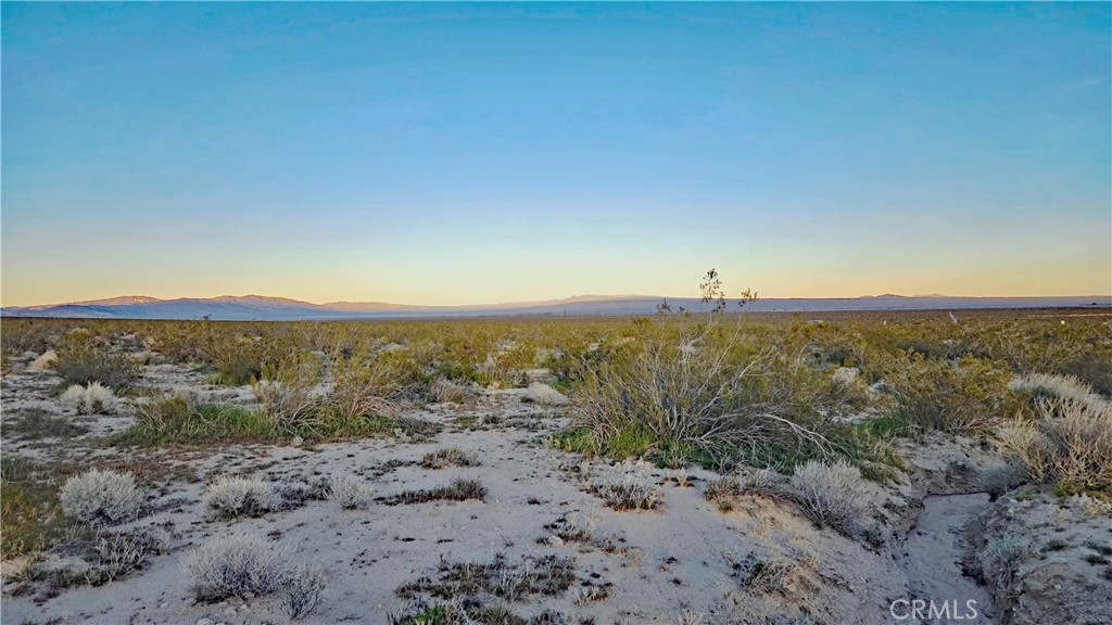 0 Rose Avenue Mojave, CA 93501 - Photo 8 of 23 a view of a big yard with mountain
