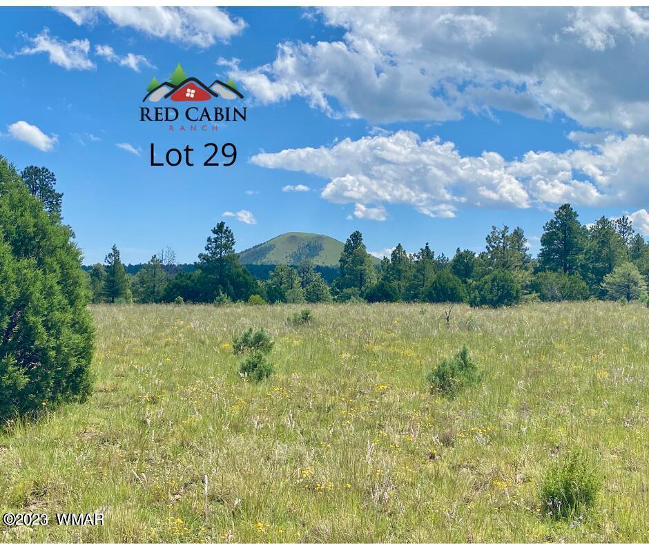 Lot 29 Red Cabin Ranch Vernon, AZ 85940 - Photo 1 of 19 a view of a yard with an tree