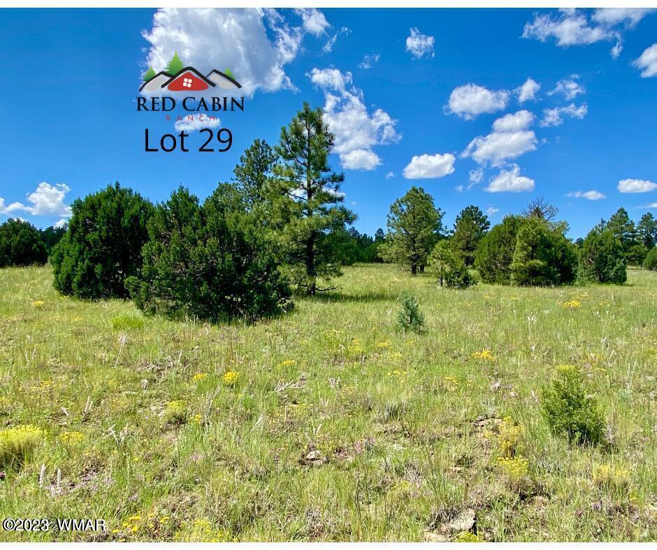 Lot 29 Red Cabin Ranch Vernon, AZ 85940 - Photo 8 of 19 a view of a bunch of plants and trees