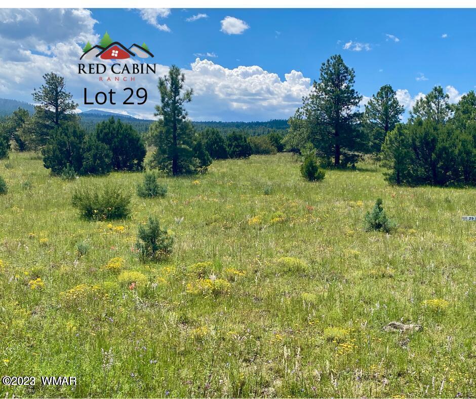 Lot 29 Red Cabin Ranch Vernon, AZ 85940 - Photo 9 of 19 a front view of a house with garden