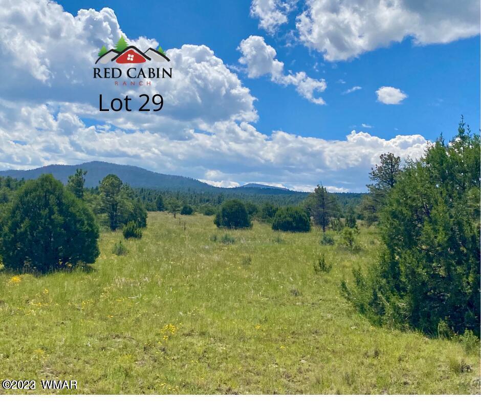 Lot 29 Red Cabin Ranch Vernon, AZ 85940 - Photo 10 of 19