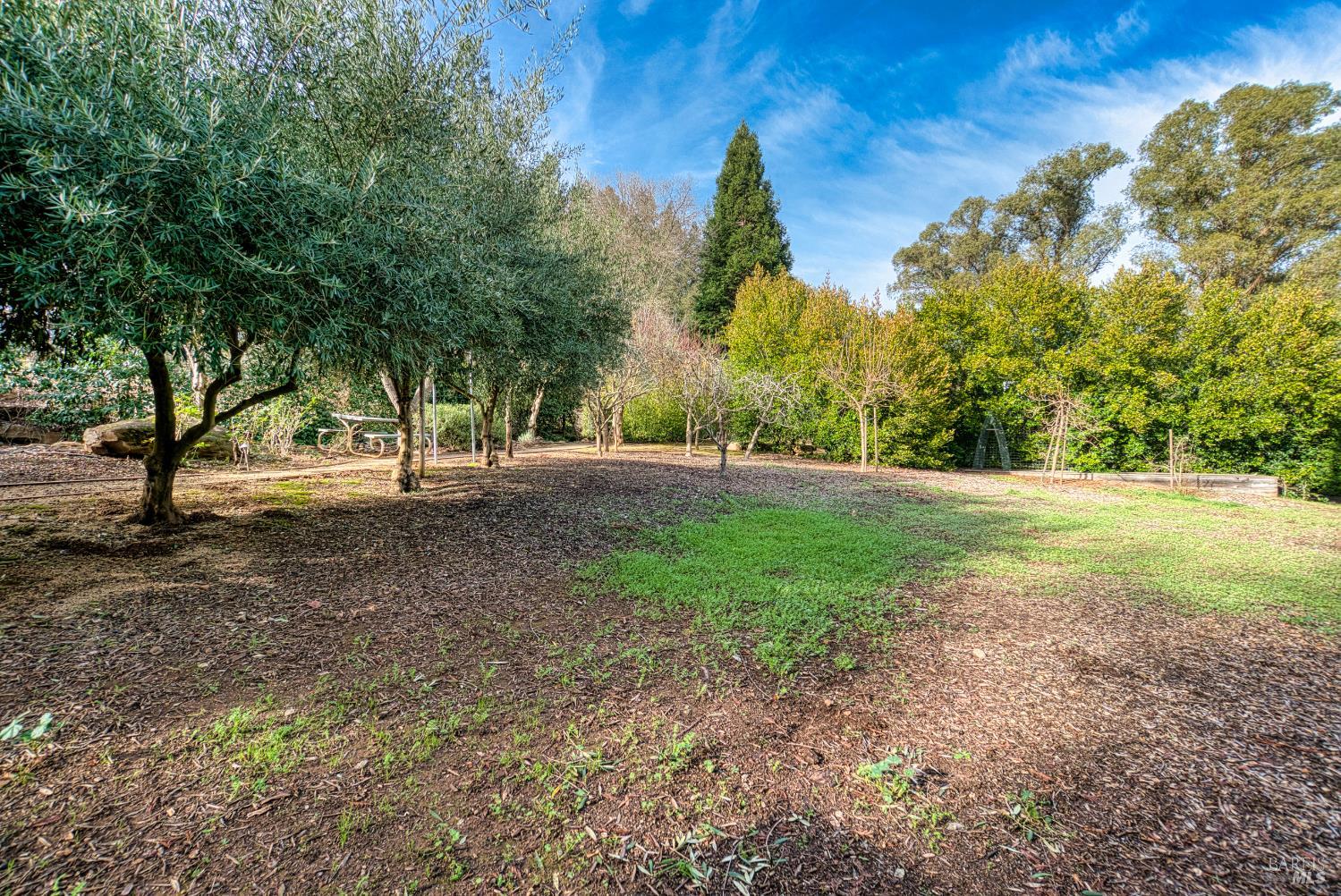 2703 Brush Creek Road Santa Rosa, CA 95404 - Photo 64 of 78 a view of outdoor space with trees all around