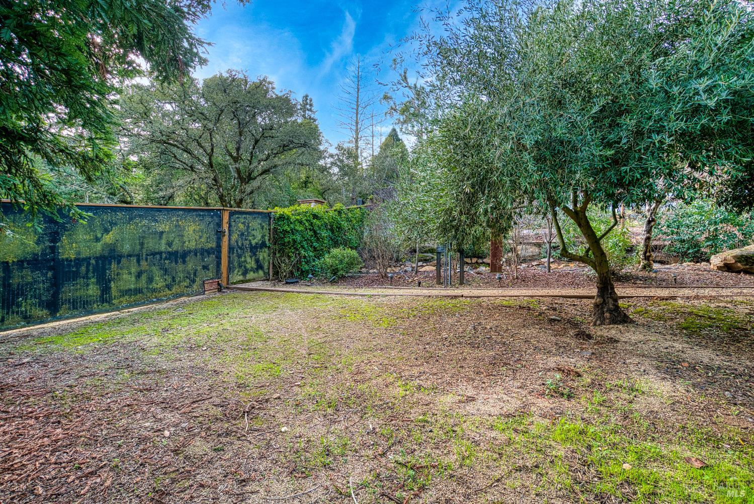 2703 Brush Creek Road Santa Rosa, CA 95404 - Photo 65 of 78 a view of backyard with green space