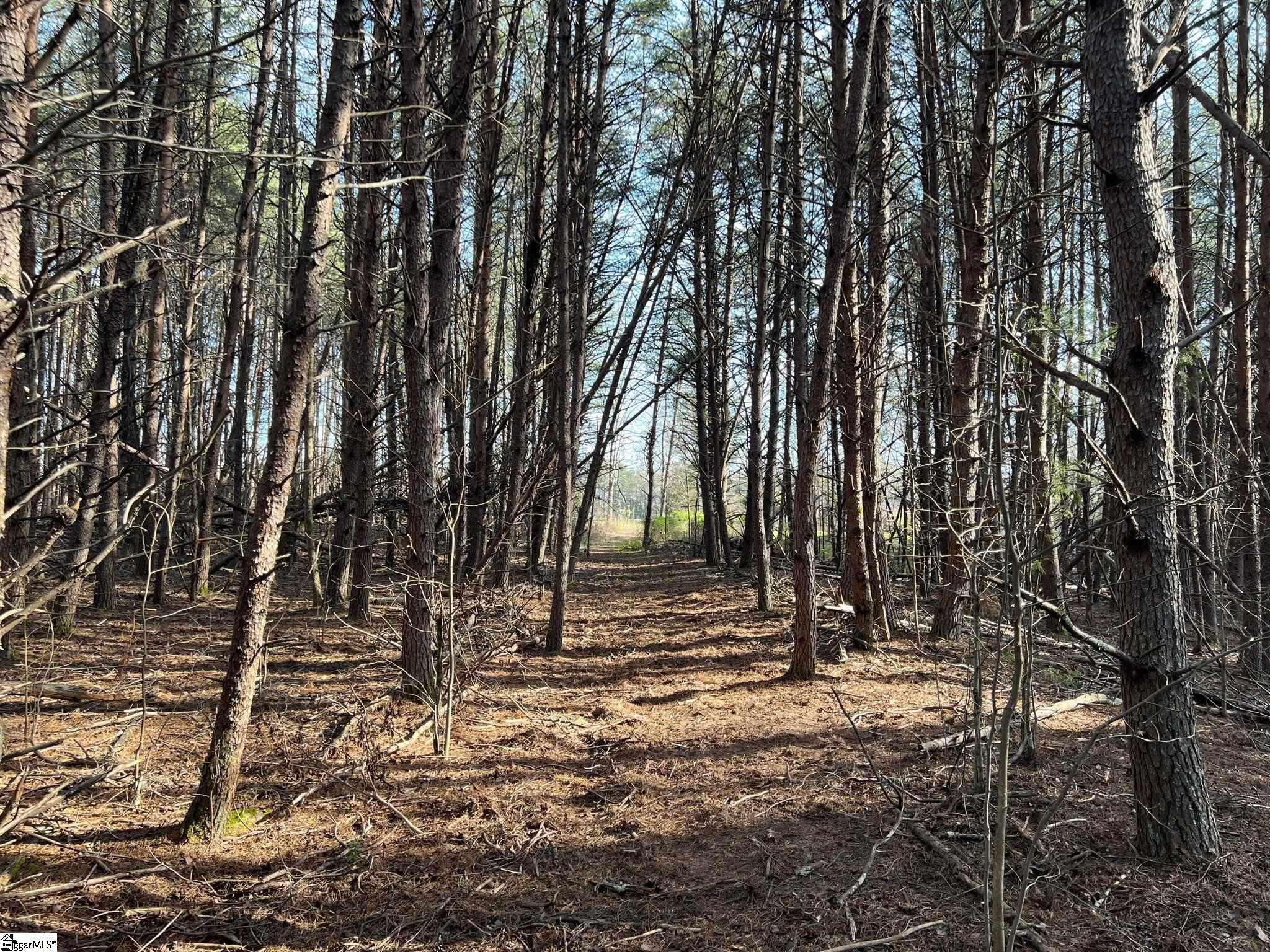 4076 Highway 414 Landrum, SC 29356 - Photo 18 of 23