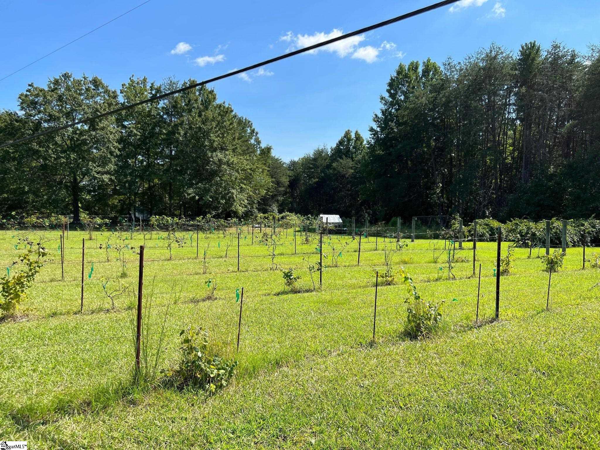 4076 Highway 414 Landrum, SC 29356 - Photo 19 of 23