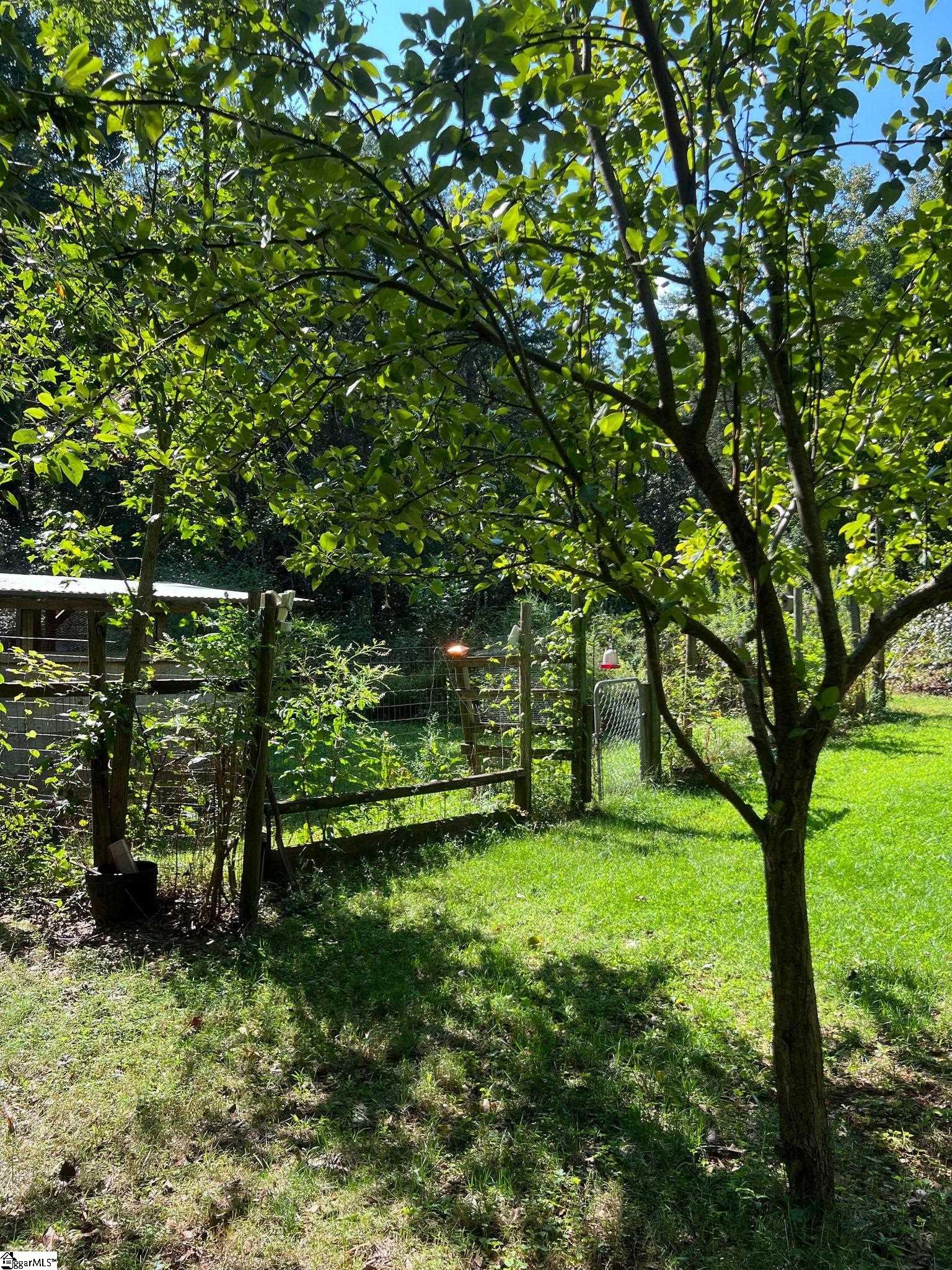 4076 Highway 414 Landrum, SC 29356 - Photo 22 of 23