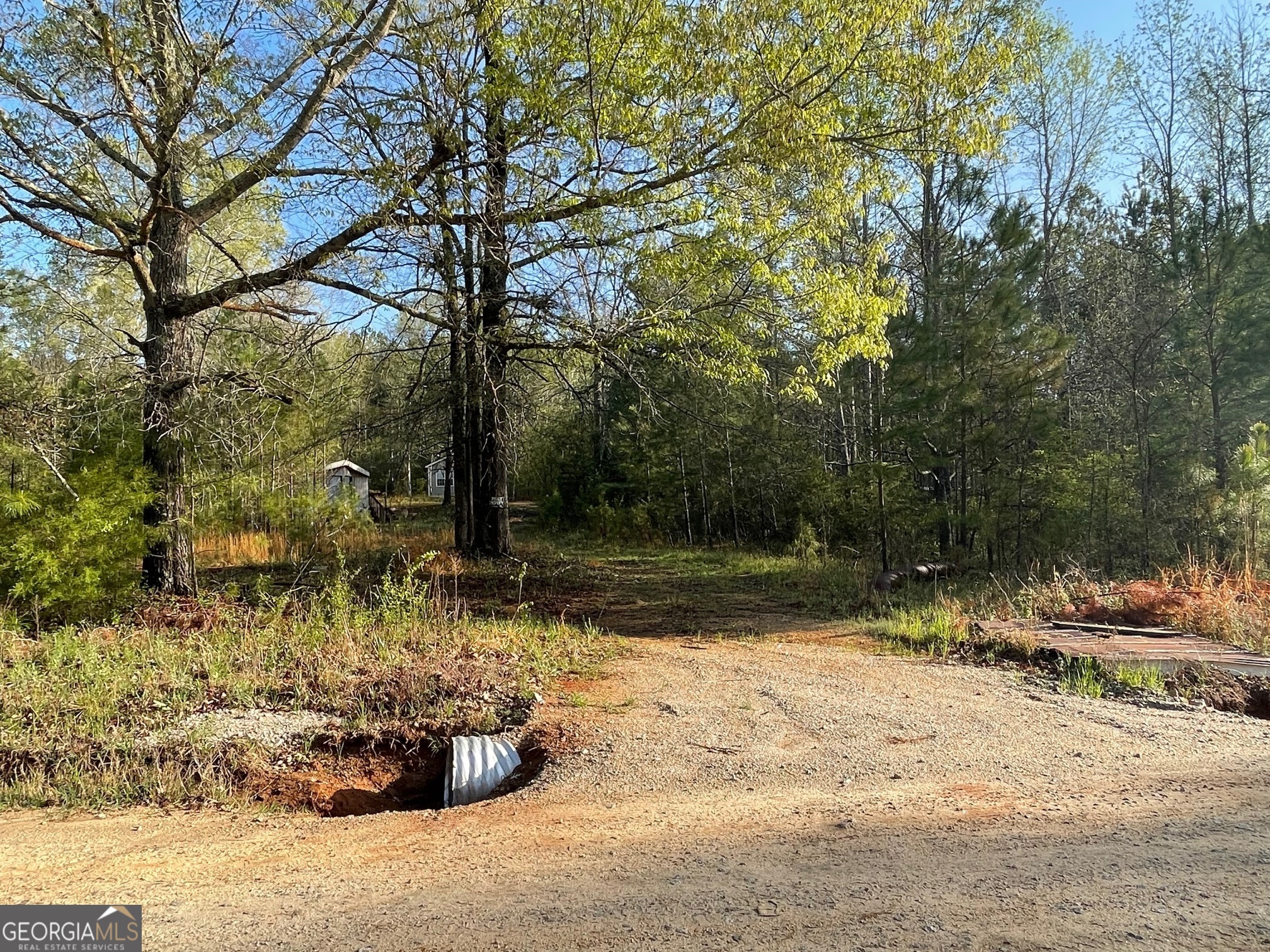 1110 Fraizer Copelan Road Madison, GA 30650 - Photo 1 of 1 a view of backyard with green space