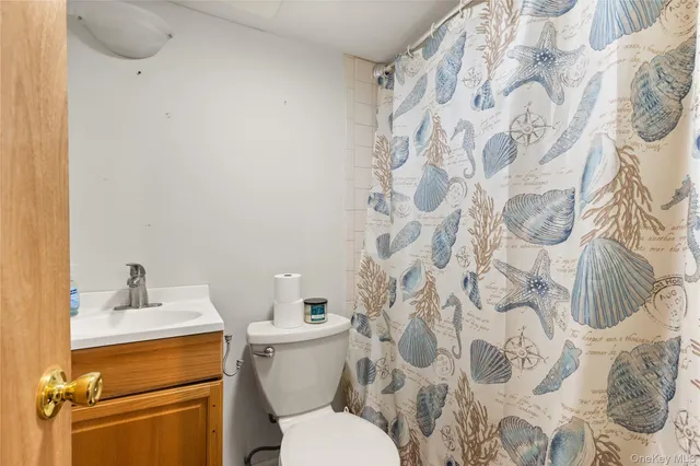 a white toilet sitting next to a shower curtain