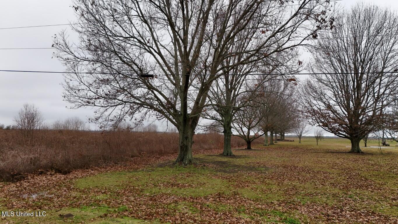 517 Forest Road Vidalia, LA 71373 - Photo 9 of 19 DJI_20260122114808_0069_D (Medium)