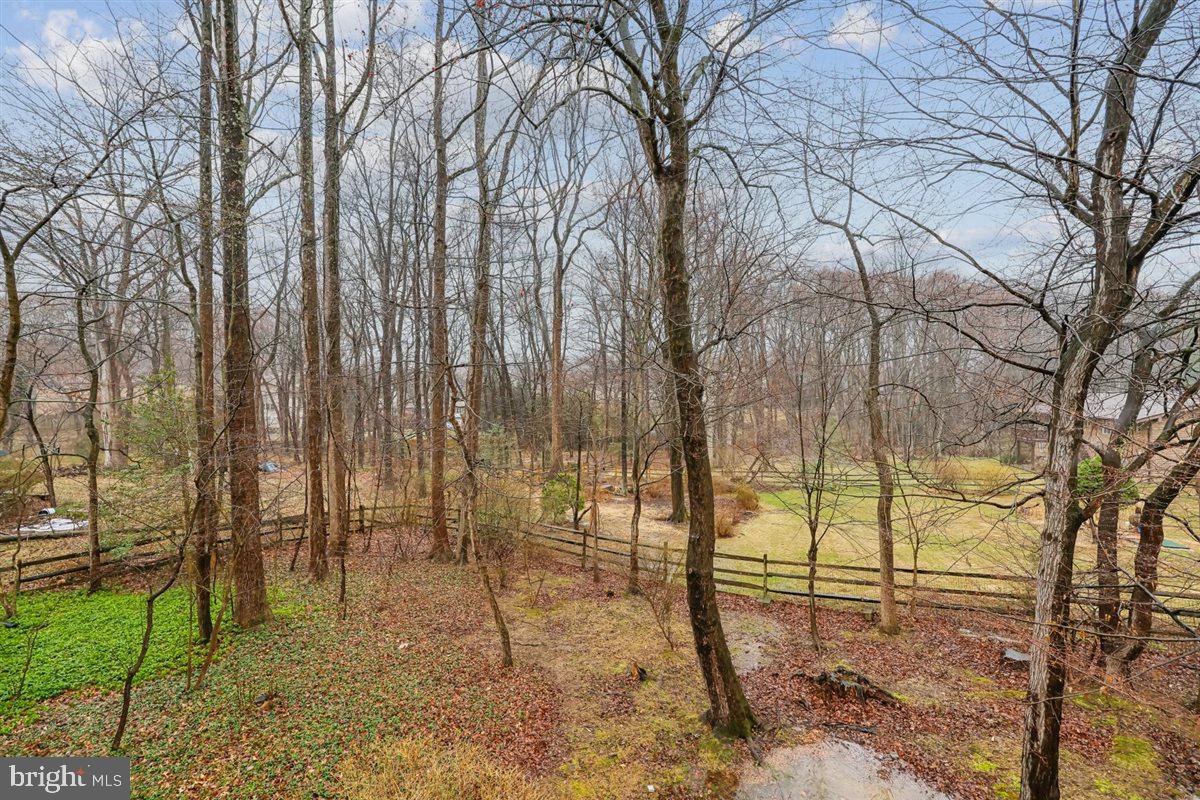 13724 Bridgewater Drive Silver Spring, MD 20904 - Photo 93 of 99